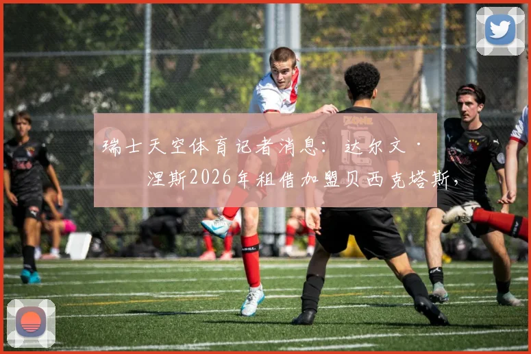 瑞士天空体育记者消息:达尔文·努涅斯2026年租借加盟贝西克塔斯,转会进展与土超前景深度分析